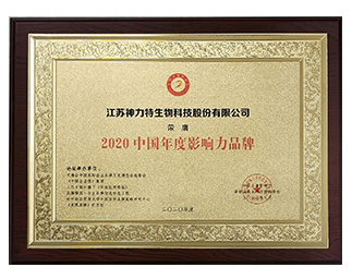 2020中国年度影响力品牌