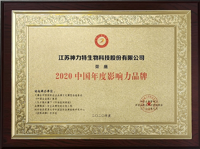 6、2020中国年度影响力品牌.jpg